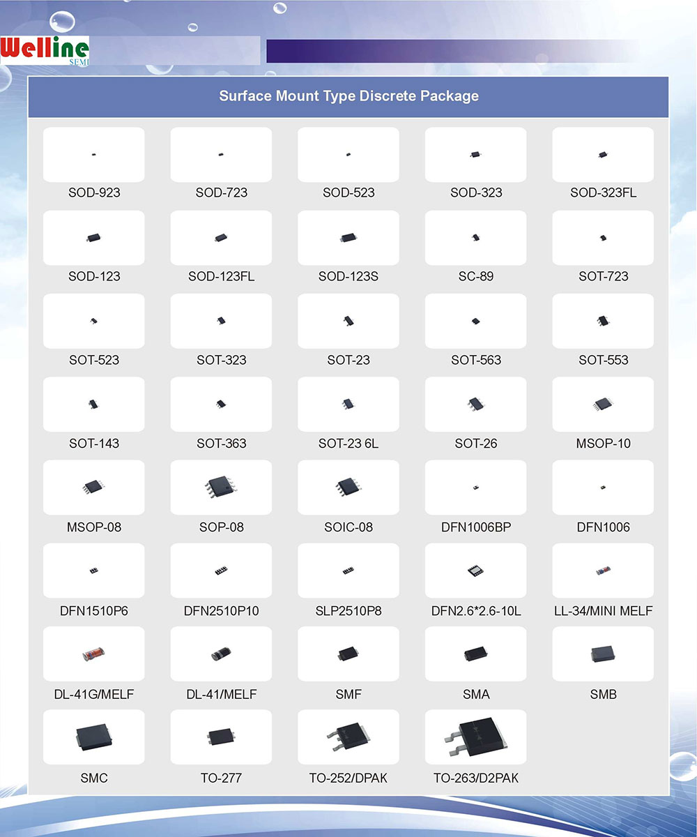 P-Tree & PKG(图2) P-Tree & PKG(图2)